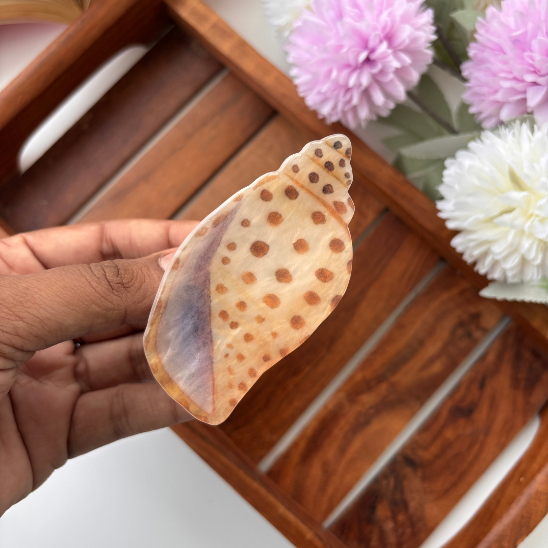 Coastal Shell Hair Claw - Medium