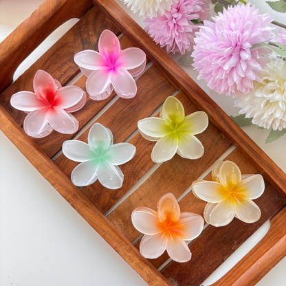 Frosted Plumeria Hair Claw – Medium