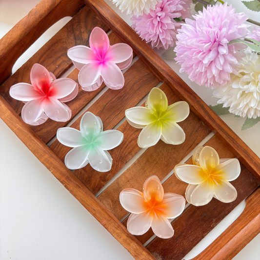 Frosted Plumeria Hair Claw – Medium