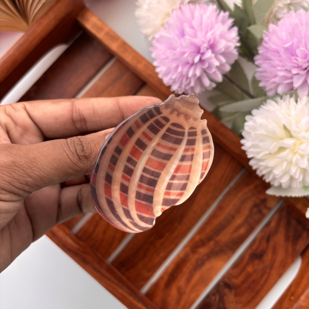 Coastal Shell Hair Claw - Medium