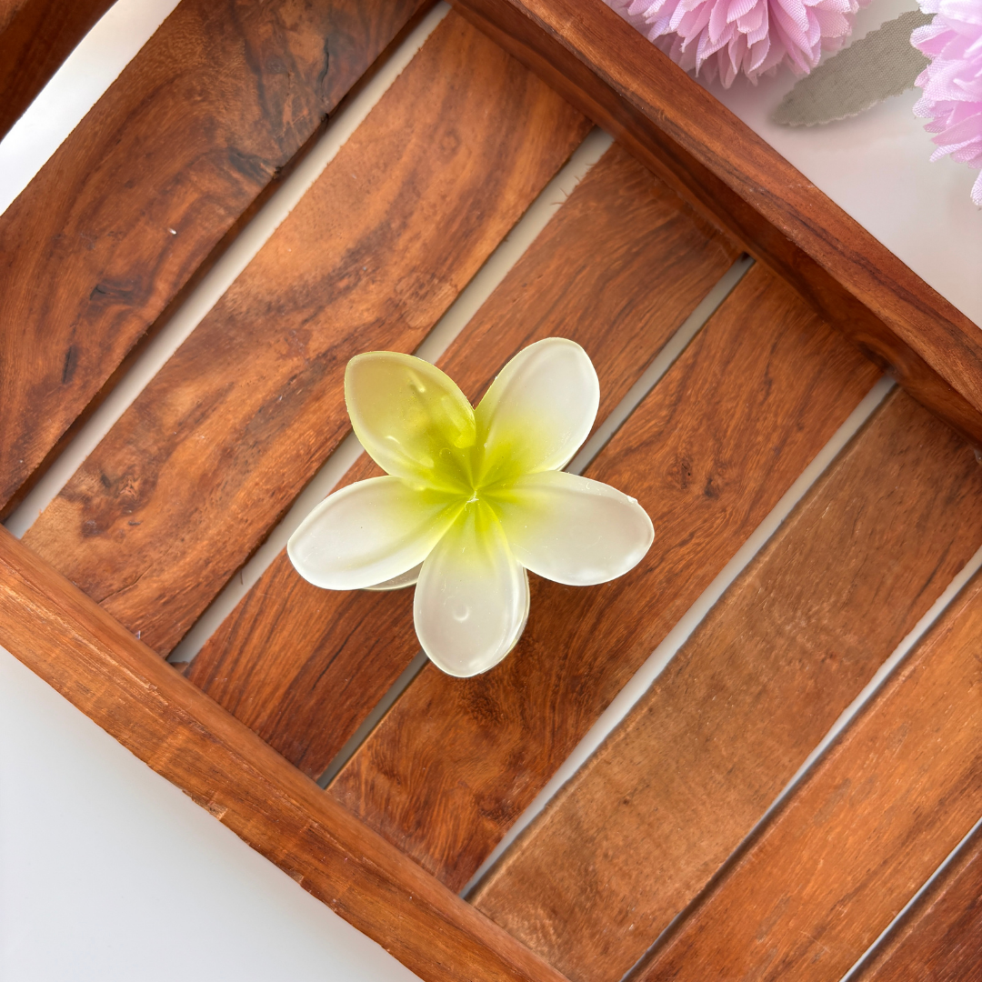 Frosted Plumeria Hair Claw – Medium