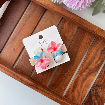 Dual Shade Lilly Hair Claw – Pack of 2