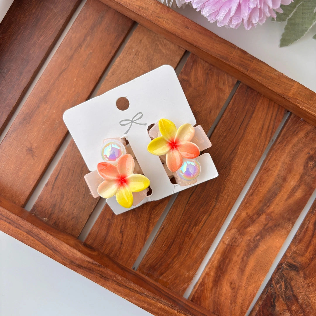 Dual Shade Lilly Hair Claw – Pack of 2