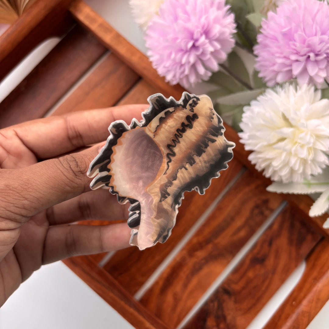 Coastal Shell Hair Claw - Medium