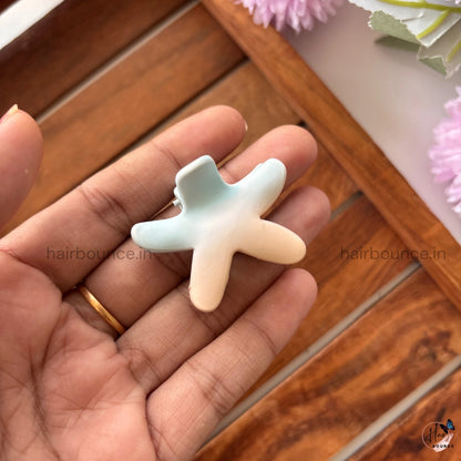 Dual Shade Star Shape Hair Claw – Small