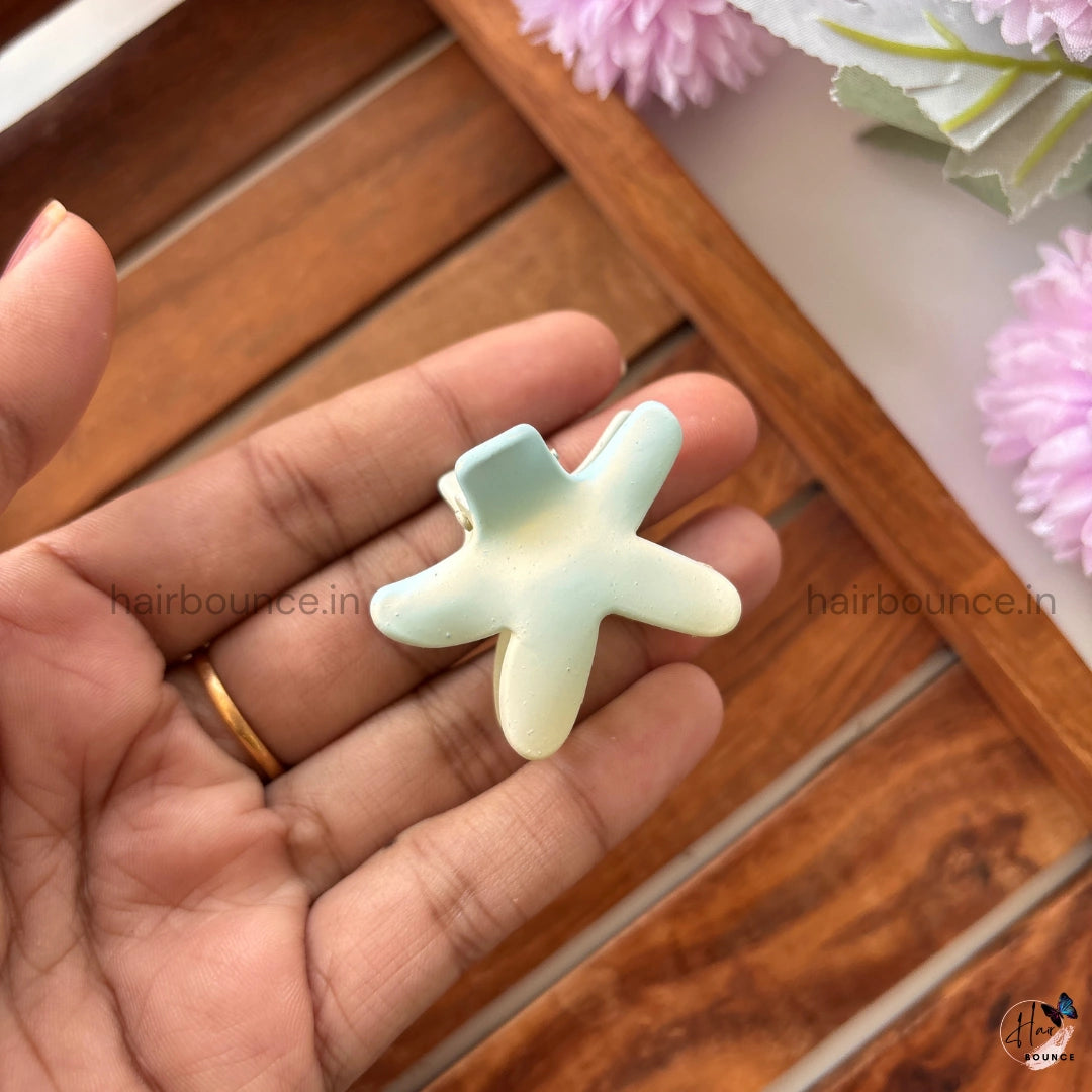 Dual Shade Star Shape Hair Claw – Small