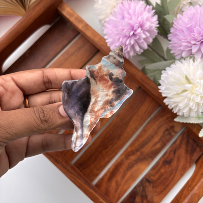 Coastal Shell Hair Claw - Medium