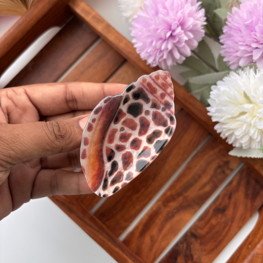 Coastal Shell Hair Claw - Medium