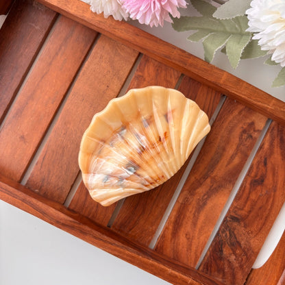 Shiny Seashell Hair Claw – Large