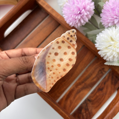 Coastal Shell Hair Claw - Medium