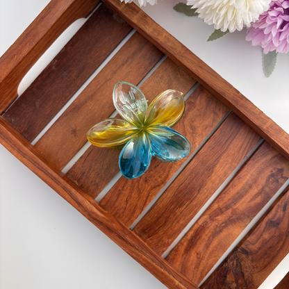 Tropic Glow Ombre Flower Hair Claw – Large
