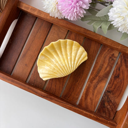 Shiny Seashell Hair Claw – Large