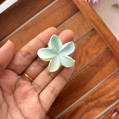 Dual Shade Lily Hair Claw – Small