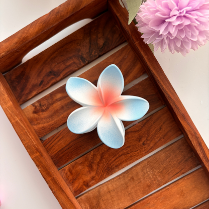 Dual Shade Lilly Hair Claw - Large