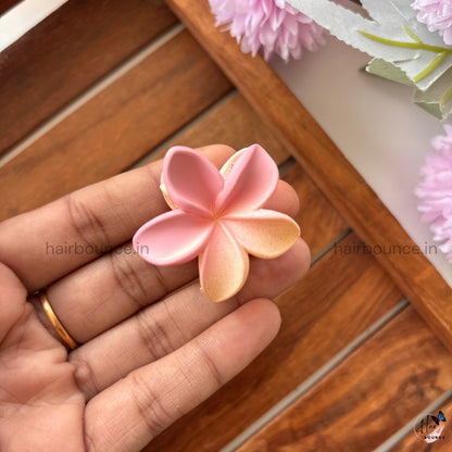 Dual Shade Lily Hair Claw – Small