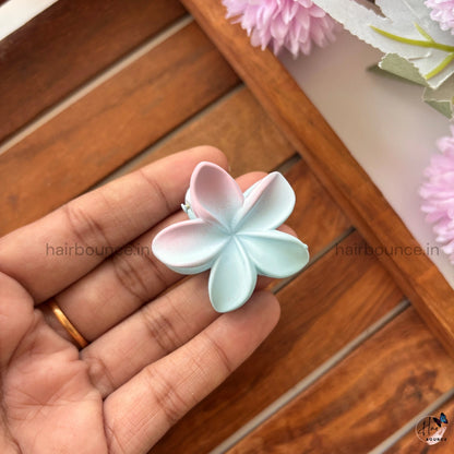 Dual Shade Lily Hair Claw – Small