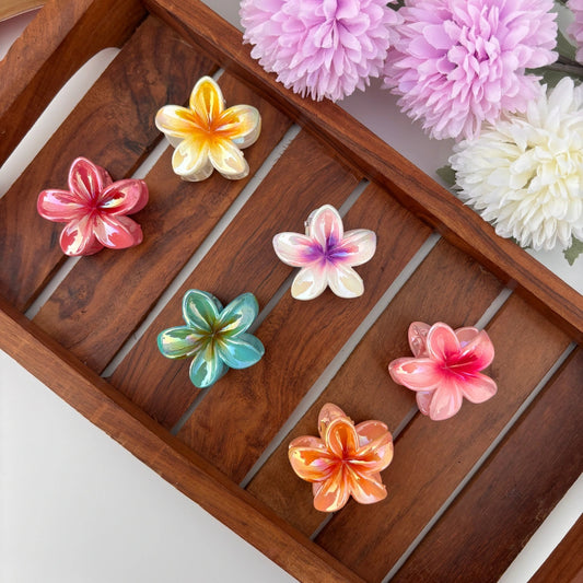 Glossy Lilly Hair Claw - Small