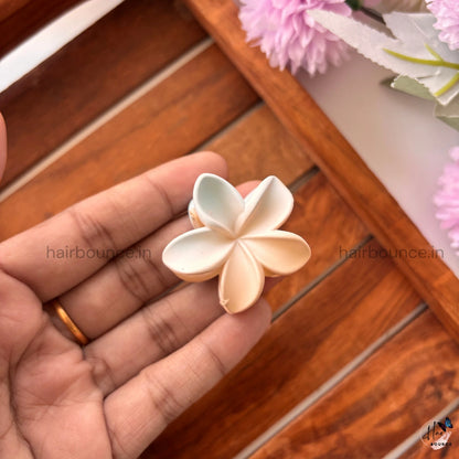 Dual Shade Lily Hair Claw – Small