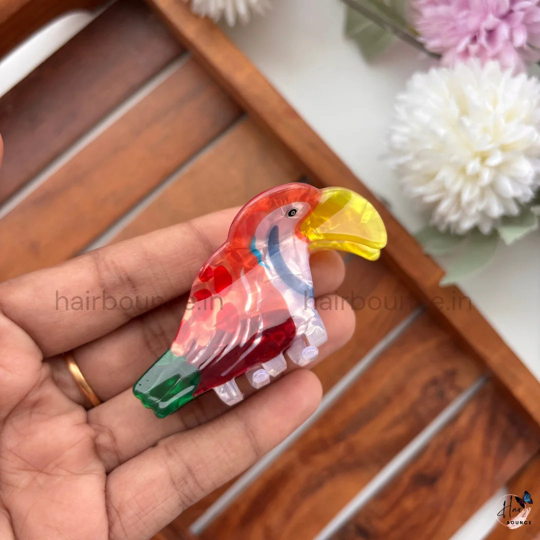 Colourful Toucan Bird Hair Claw Clip – Medium