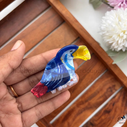 Colourful Toucan Bird Hair Claw Clip – Medium