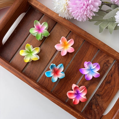 Dual Shade Lilly Flower Hair Claw – Small