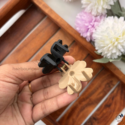 Dual Colour Seeded Flower - Small