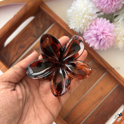 Dark Shade Glassy Flower Hair Claw - Large