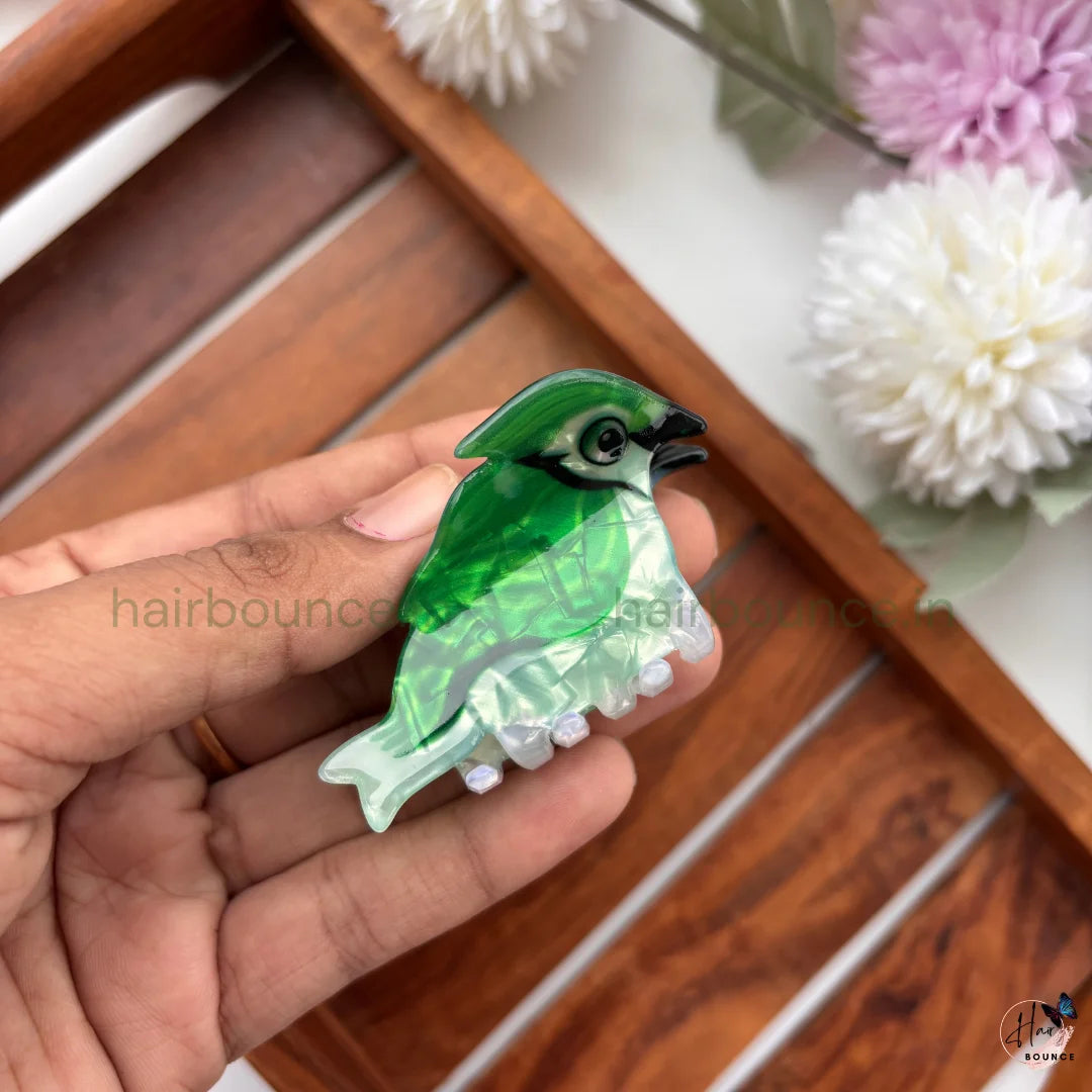 Colourful Cardinal Bird Hair Claw Clip – Medium