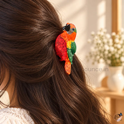 Colourful Bird Hair Claw Clips – Large