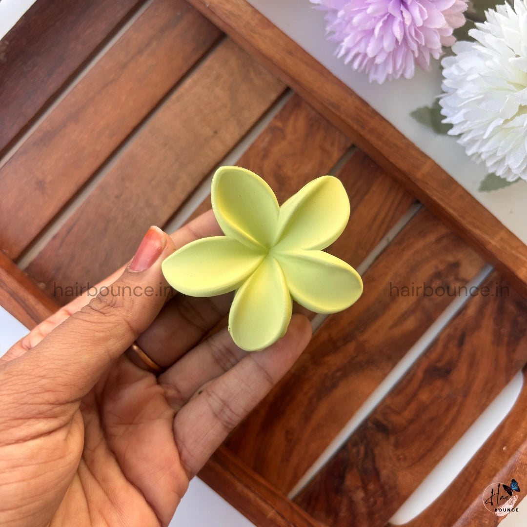 Pastel Bloom Matte Hair Claw – Medium