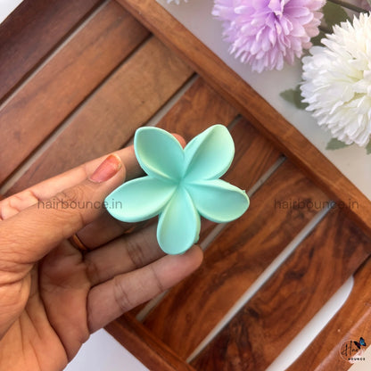 Pastel Bloom Matte Hair Claw – Medium