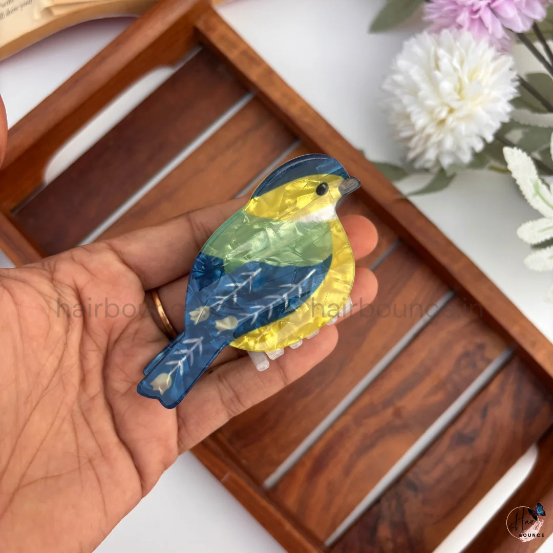 Colourful Bird Hair Claw Clips – Large