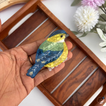 Colourful Bird Hair Claw Clips – Large