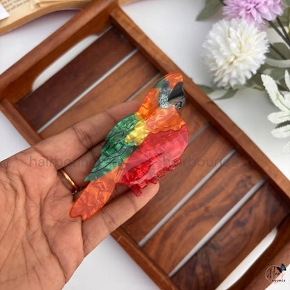 Colourful Bird Hair Claw Clips – Large