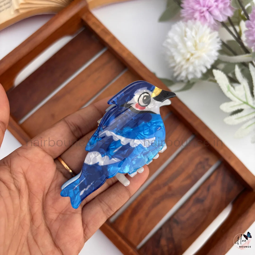 Colourful Bird Hair Claw Clips – Large
