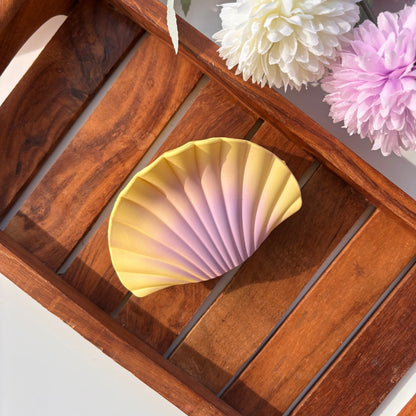 SeaShell Matte Hair Claw - Large