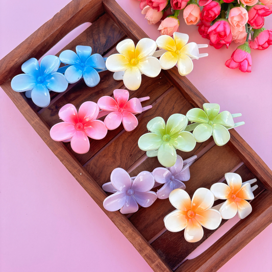 Dual Shade Slide Hair Clip - Large