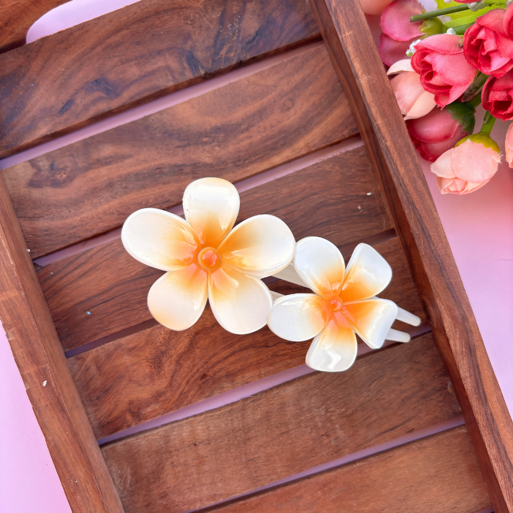 Dual Shade Slide Hair Clip - Large
