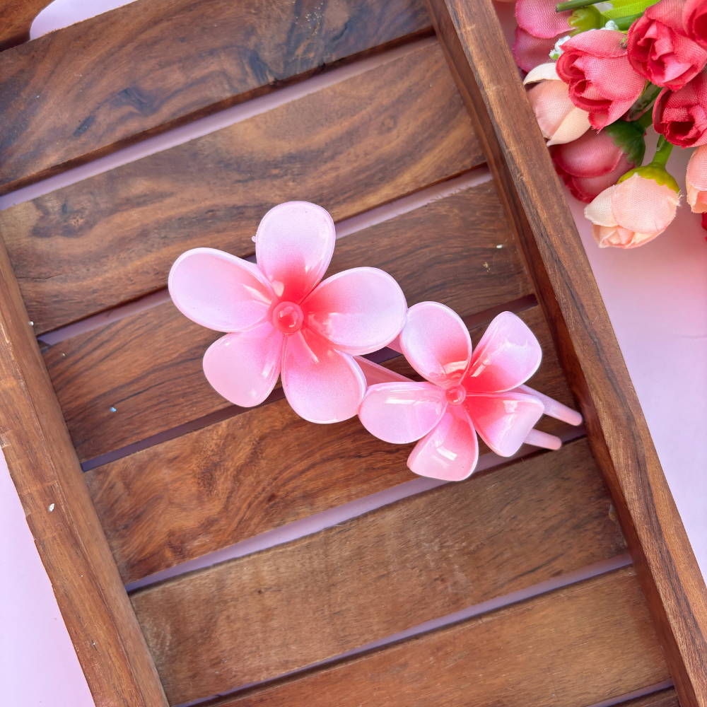 Dual Shade Slide Hair Clip - Large