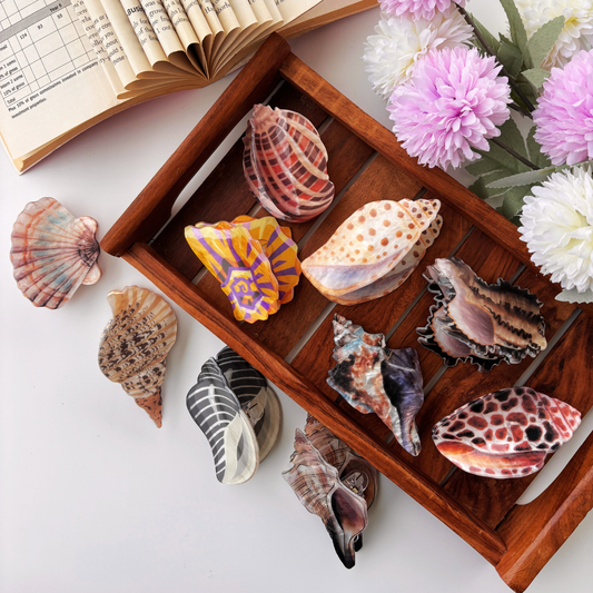 Coastal Shell Hair Claw - Medium